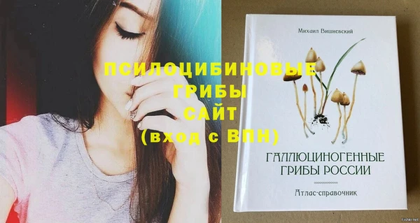 шишки Абинск