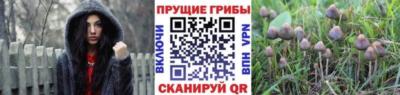 Псилоцибиновые грибы мухоморы  Грозный 